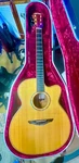 Free Shipping. Avalon Legacy L-320 Acoustic Electric Guitar ( Sim To Lowden). Fixed Price $3850.00.