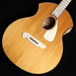 Parker PA24 Used Acoustic Guitar. Fixed Price $1886.32.