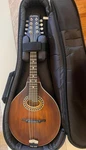 Eastman Guitars MD304 A-style Mandolin Classic New. Fixed Price $650.00.