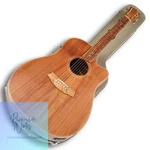 Cole Clark Acoustic Guitar FL2EC-BLBL Dreadnought Model. Fixed Price $1750.06.