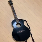 Ibanez AEL30SE-BK Electric Acoustic Guitar With Fishman. Fixed Price $462.92.