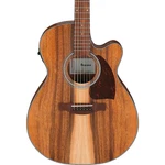 Ibanez PC50WSCE Grand Concert Acoustic-electric Guitar Brown. Fixed Price $199.99.