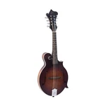 LM-310F-BRB Honey Creek F-style Mandolin. Fixed Price $505.88.