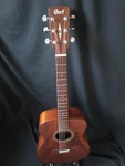 Cort Luce L450C Ns Solid Wood Concert Acoustic Guitar. Fixed Price $299.00.