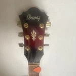 Ibanez AEL20E-TRS-14-02 Acoustic-electric Guitar 6 String Hollow Red. Fixed Price $10716.50.