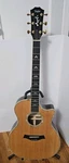 2010 Taylor 914CE Acoustic With Electronics, Well Maintained Hard Travel Case. Fixed Price $4060.00.