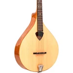 Gold Tone BZ-500 Irish Bouzouki Mandolin With Case Natural. Fixed Price $1049.99.