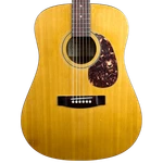 Alvarez Regent 5212 Acoustic Guitar (used). Fixed Price $174.99.