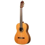 Ortega R20GWN-L Left-handed Concert Classical Guitar. Fixed Price $828.87.