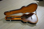 Fender Tim Armstrong Hellcat Deluxe Acoustic-electric Guitar With Hardshell Case. Fixed Price $380.00.