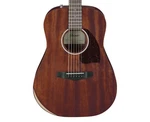 Ibanez PF14JR Acoustic Guitar - Open Pore Natural. Fixed Price $199.99.