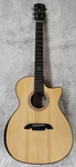 Alvarez Artist Series AG60CE Armrest Acoustic Electric Grand Auditorium Guitar. Fixed Price $599.95.