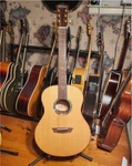 Washburn Bella Tono Studio 24 Acoustic Guitar. Fixed Price $300.00.