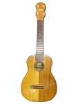 Other Brands Acoustic Guitars Kolomona Concert Pohaku Ukulele Semi Hard Used. Fixed Price $1140.87.