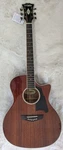 D'angelico Excel Gramercy Grand Auditorium Acou/elec Guitar - Natural Mahogany. Fixed Price $419.95.