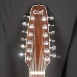 Cort 12-STRING Acoustic Guitar Mik. Fixed Price $340.00.