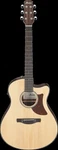Ibanez AAM50CEOPN Amplified Acoustic Guitars. Fixed Price $380.05.