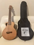 Tacoma P1 Papoose Acoustic Guitar. Very Rare & Mint Rosewood W/ Original Case. Fixed Price $1349.99.