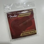 Fender Phosphor Bronze String Pack Acoustic Guitar .012 .016 .024 .032 .042 .053. Fixed Price $8.99.