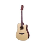 Guitars 6 String Acoustic-electric Guitar, Right, Natural (HD100-CE-N). Fixed Price $430.97.