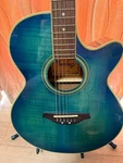 Barclay EL-340 Blue Acoustic Guitar With Bag Slightly Damaged. Fixed Price $425.00.