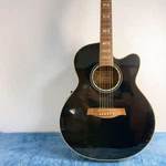 Ibanez AEL30SE-BK Electro-acoustic Black Fishman Equipped. Fixed Price $485.70.
