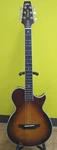 Aria APE-100 Electro Acoustic Guitar Thin Body Flamed Maple Mahogany. Fixed Price $1413.00.