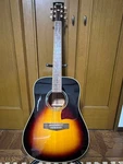 Rare Ibanez AW50-BS Artwood Series Tree Of Life. Fixed Price $495.99.