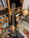Yamaha Silent Acoustic-electric Guitar W/gig Bag, Amp, Cable, Headphones, Mic. Fixed Price $299.99.