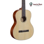 Alvarez RC26 Regent Series Classical Guitar W/ Deluxe Gig Bag. Fixed Price $299.99.
