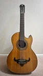 Oscar Schmidt 12-STRING Acoustic-electric Guitar Powerful Sound & Great Design. Fixed Price $220.00.