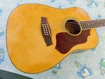 Ibanez SGT122-NT-2Y-02 String Acoustic Guitar, Plays,looks & Sounds Great. Fixed Price $174.99.