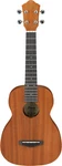 Ibanez UKC10 Mahogany Concert Acoustic Ukulele Natural W/ Bag. Fixed Price $99.00.