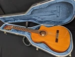 Jose Antonio 8CCE Cutaway Electro Classical Guitar Spain Vintage Model, Spruce. Fixed Price $999.00.