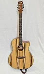 Luna Gypsy Exotic Zebrawood Acoustic/electric Guitar - Gloss Natural. Fixed Price $249.00.