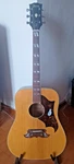 Ibanez 58028 (693) Concord Dove Rare Mij Lawswit Acoustic Guitar. Fixed Price $1049.31.