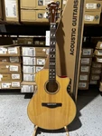 Ibanez AE170 Acoustic-electric Guitar Natural. Fixed Price $549.99.