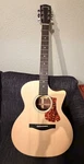 Eastman AC222CE Acoustic/electric Guitar With Bag, Natural - Slightly Used. Fixed Price $675.00.