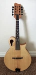 M1 Mandolin Tacoma Guitars Style Sitka Spruce Top Mahogany Body With Soft Case. Fixed Price $699.00.