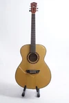 Washburn Apprentice Series F5 Folk Acoustic Guitar (natural). Fixed Price $153.86.