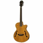 Aria Fet F2 Acoustic Guitar Stained Brown. Fixed Price $481.77.