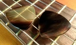 Zebu Horn Guitar Picks + Martin D18 D28 D35 D45 Strings Acoustic. Fixed Price $20.00.
