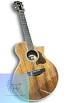 Ibanez Strings AE2412-NT Guitar With Case. Fixed Price $793.87.
