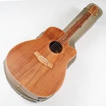Used Acoustic Guitar Cole Clark FL2EC-BLBL Dreadnought Australian Blackwood. Fixed Price $2301.48.