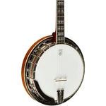 Deering Calico Banjo Natural. Fixed Price $5999.00.