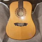 Washburn String D42S12. Fixed Price $400.00.