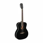 Jn Guitars Thin Body James Neligan Acoustic Auditorium Black Bes-a Bk. Fixed Price $264.99.