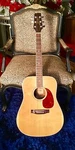 90S Takamine Jasmine S-40 Dreadnought Ez Playing Great Sounding Korea Jvguitars. Fixed Price $245.00.