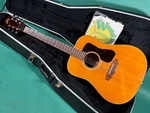 Guild D-35 Nt (1981) (NO250526). Fixed Price $2485.00.