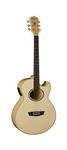 Washburn Festival Series 6 String Acoustic-electric Guitar, Right, Natural (e.... Fixed Price $629.51.